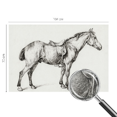 Non-woven fototapet med en skitse af en hest