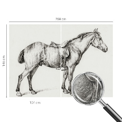 Non-woven fototapet med en skitse af en hest