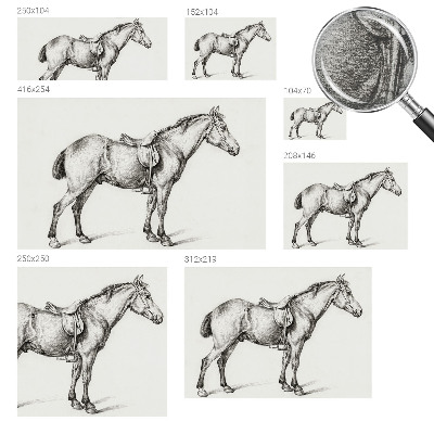 Non-woven fototapet med en skitse af en hest