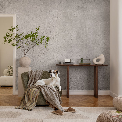 Modern fototapet Betonmønster