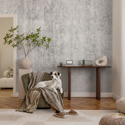 Fototapet stue Betonvæg