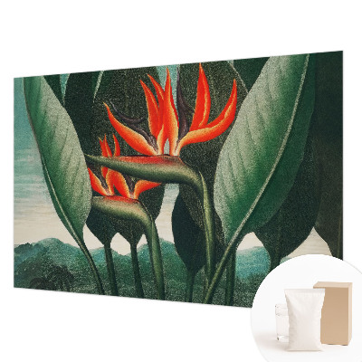 Fototapet stue Eksotiske blomster