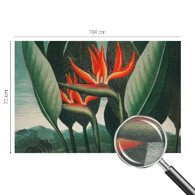 Fototapet stue Eksotiske blomster