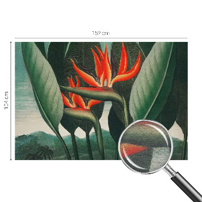 Fototapet stue Eksotiske blomster