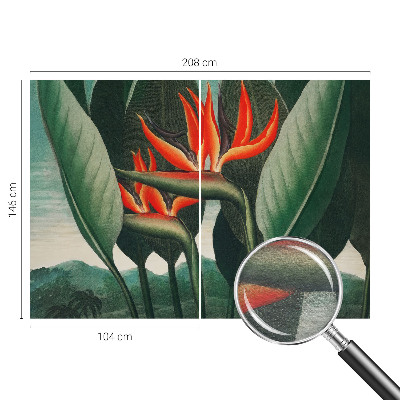 Fototapet stue Eksotiske blomster