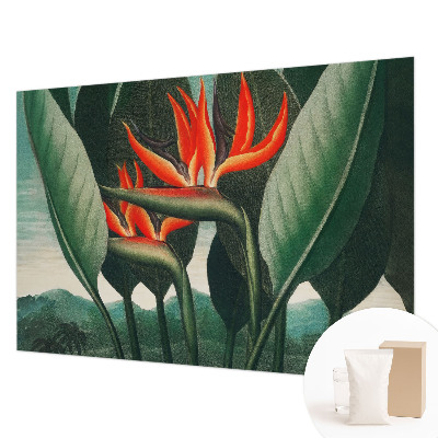 Fototapet stue Eksotiske blomster