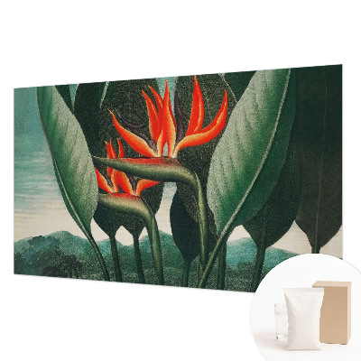 Fototapet stue Eksotiske blomster