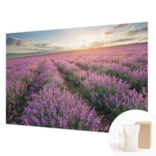 Vlies fototapet med motiv af lavendelmarker