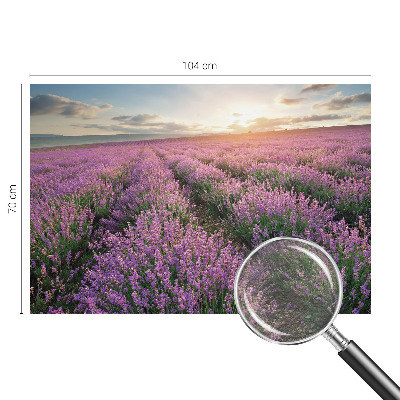 Vlies fototapet med motiv af lavendelmarker