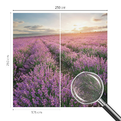 Vlies fototapet med motiv af lavendelmarker