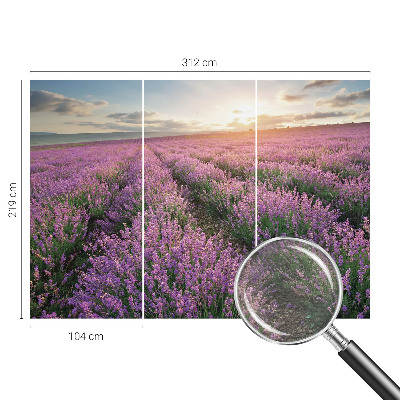 Vlies fototapet Lavendelmarker