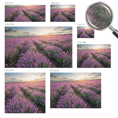 Vlies fototapet Lavendelmarker