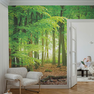 Fotostat Grøn skov