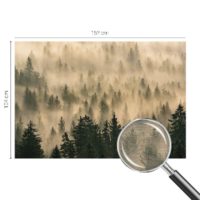 Fototapet soveværelse Skovtåge
