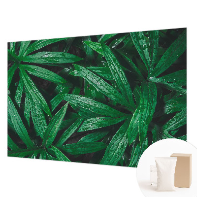 Fototapet Naturlig grøn bevoksning