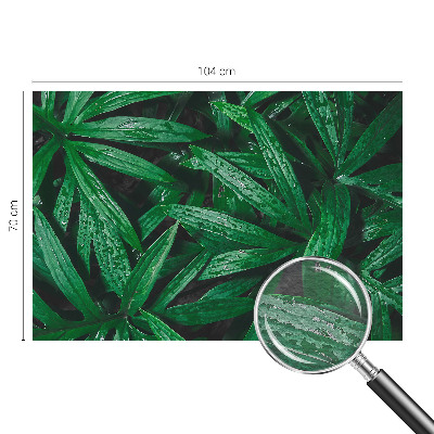 Fototapet Naturlig grøn bevoksning