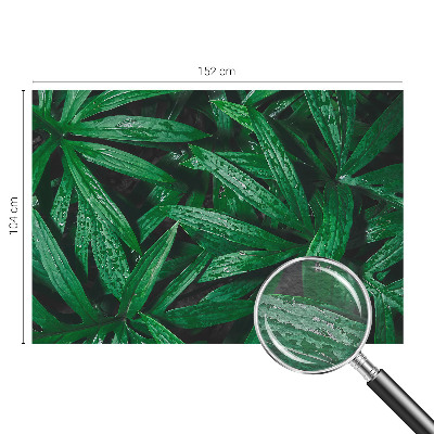 Fototapet Naturlig grøn bevoksning