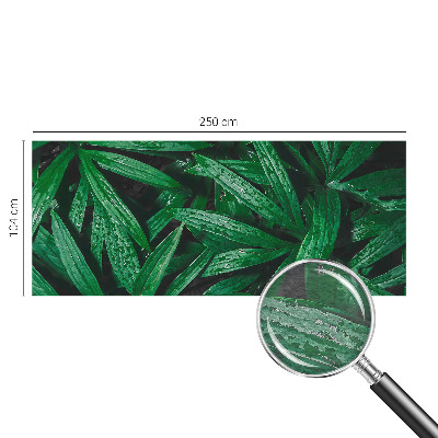 Fototapet Naturlig grøn bevoksning