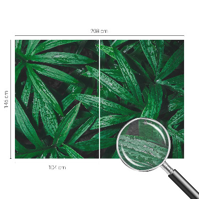 Fototapet Naturlig grøn bevoksning