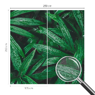 Fototapet Naturlig grøn bevoksning