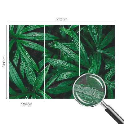 Fototapet Naturlig grøn bevoksning