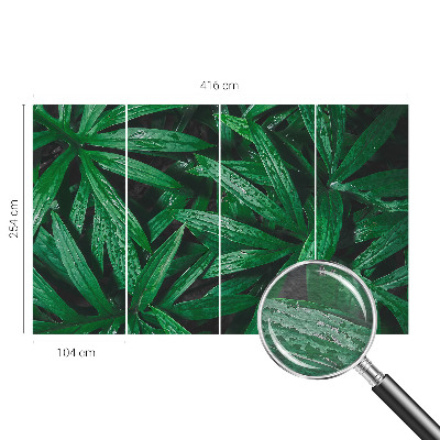 Fototapet Naturlig grøn bevoksning