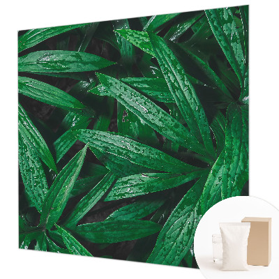 Fototapet Naturlig grøn bevoksning