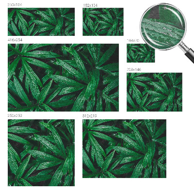 Fototapet Naturlig grøn bevoksning