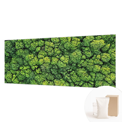 Fototapet efter mål Skovpanorama