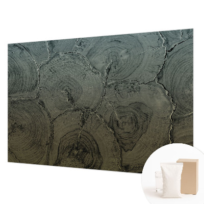 Tapet væg Træringe