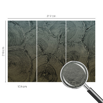 Tapet væg Træringe