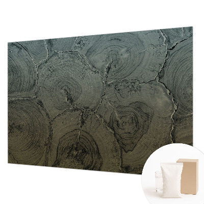 Tapet væg Træringe