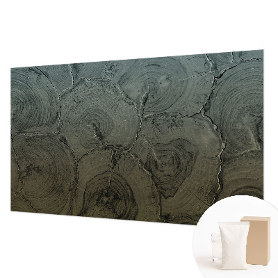 Tapet væg Træringe