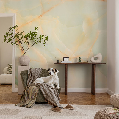 Vlies fototapet Marmor elegance