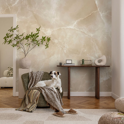 Non-woven fototapet med motiv af natursten