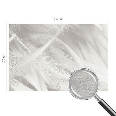 Fototapet soveværelse Subtile fjer