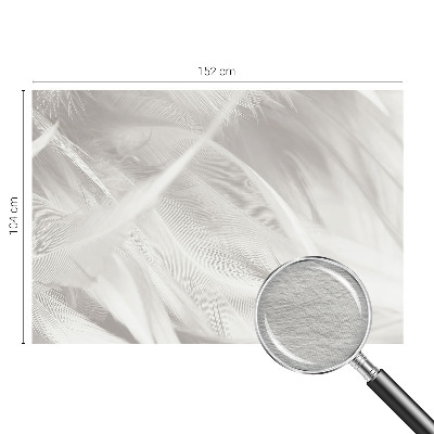 Fototapet soveværelse Subtile fjer