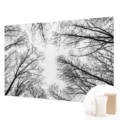 Fototapet på mål Bare grene