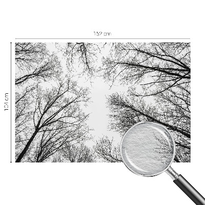 Fototapet på mål Bare grene