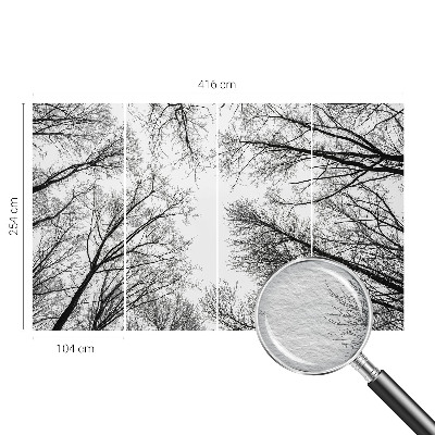 Fototapet på mål Bare grene