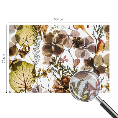 Fototapet til børn Naturlig sammensætning