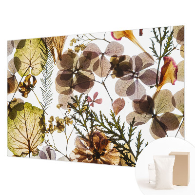 Fototapet til børn Naturlig sammensætning