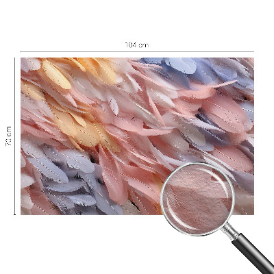 Stor fototapet Pastelfarvede fjer