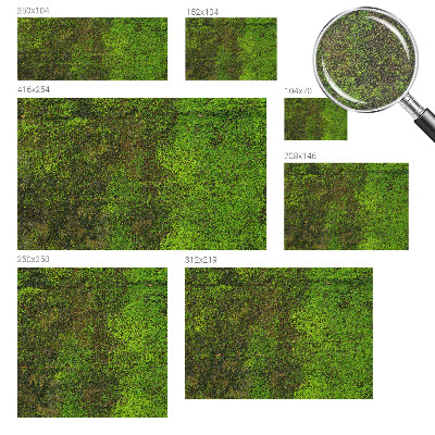 Fototapet Grønt tæppe