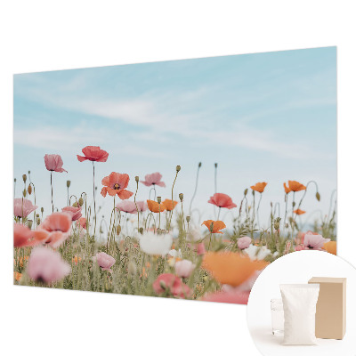 Tapet med valmueblomster