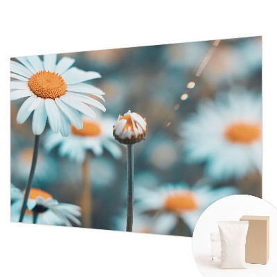 Fotovæg stue med motiv af kamille i delikat stil