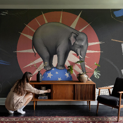 Høj kvalitet fototapet med motiv af en cirkuselefant