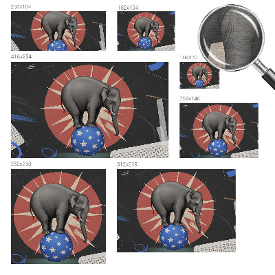 Høj kvalitet fototapet Cirkuselefant