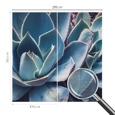 Fototapet soveværelse Grøn aloe