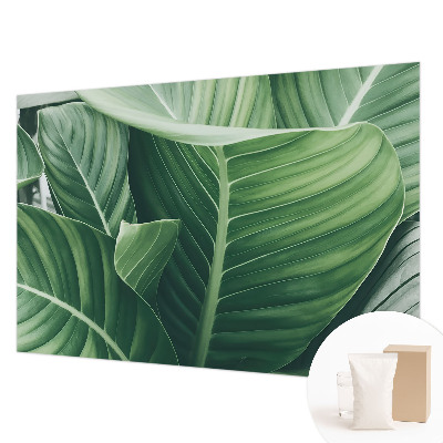 Væg tapet Grøn fred